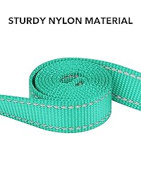Taglory Dog Leash for Medium Large