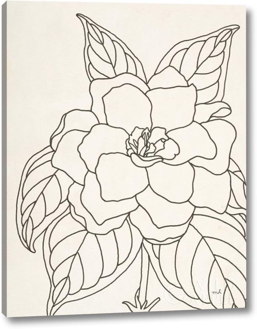 Amazon Com Gardenia Line Drawing Crop By Moira Hershey 19 X 24 Canvas Art Print Gallery Wrapped Ready To Hang Posters Prints