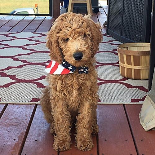 My Fabulous Puppy American Flag Dog Bandana Over The Collar Bandanas for Dogs