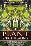 Plant Spirit Healing: A Guide to Working with Plant Consciousness by Pam Montgomery, Stephen Harrod Buhner