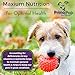 Primo Pup® Puppy Multi | Vitamin Supplement for Puppies | Supports Physical & Mental Wellbeing | Easy to Digest | No Artificial Colors, Flavors, or Grains | Veterinarian Developed | 60 Chewables
