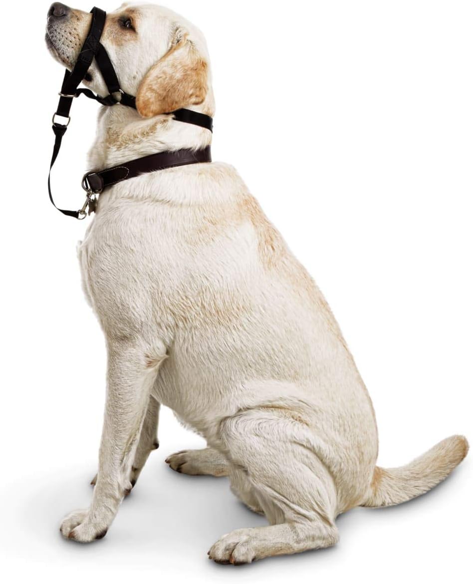 good2go no more pull harness