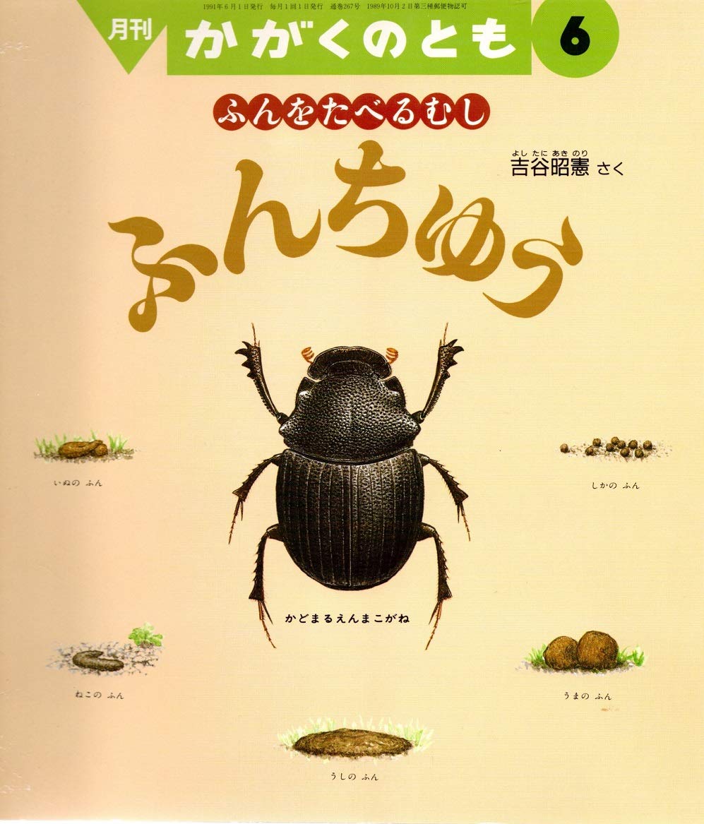 月刊かがくのとも 1991年06月号 ふんをたべるむし ふんちゅう 吉谷昭憲 さく 本 通販 Amazon