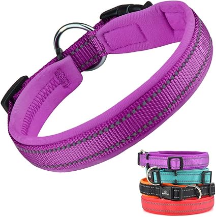 Soft Dog Collar Neoprene Padded 