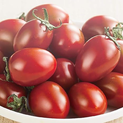 Amazon チョコアイコ 高糖度ミニトマトの苗 10 5cmポット 野菜 自根苗 2個セット アイコシリーズに茶色のミニトマト チョコアイコ が仲間入りしました 種子の生産量がまだ少ない品種です プラム型の多収穫 高糖度ミニトマト 酸味が少ないのでお子様でも食べ