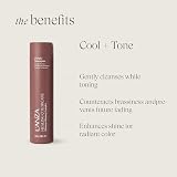 Lanza Healing ColorCare Silver Brightening Shampoo 300ml Blonde Gray White Hair view 3
