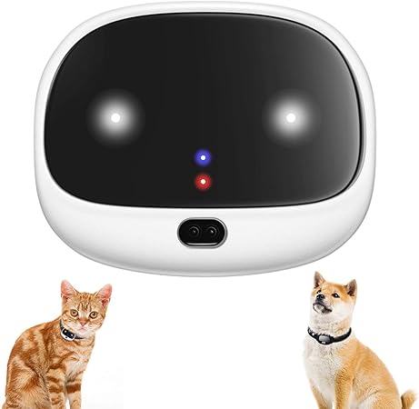 real time dog tracker