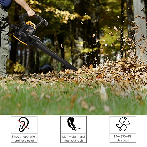 CHEAP Leaf Blower Vacuum, TECCPO TABV01G 12Amp 250MPH 410CFM 3 in 1
