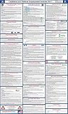 2017 Louisiana State and Federal Labor Law Poster - Laminated 24