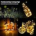 33ft LED String Lights Dimmable with Remote Control, ALPULON Waterproof Lights for Christmas Decorations,Parties,Bedroom,Patio,Garden,Gate,Yard,Outdoor(Copper Wire Lights, Warm White)