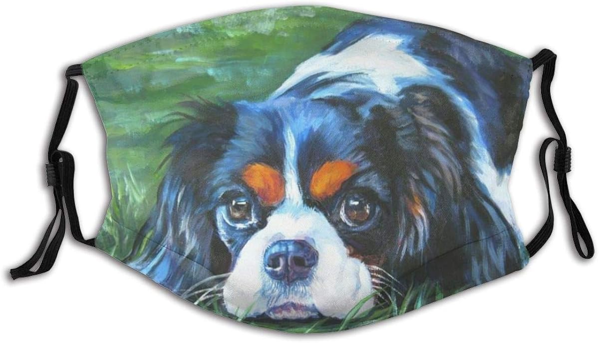 Cavalier King Charles Spaniel Dreifarbiger Hund L A Shepard Welpe Hund