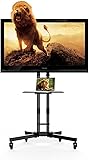 FLEXIMOUNTS C06 Mobile TV Cart LCD Stand for 32"-65" LCD LED Plasma Flat panel screen LCD monitor mount w/ DVD Plastic Shelf & Wheels computer monitor Stand