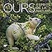 Ours : Esprits de la nature by