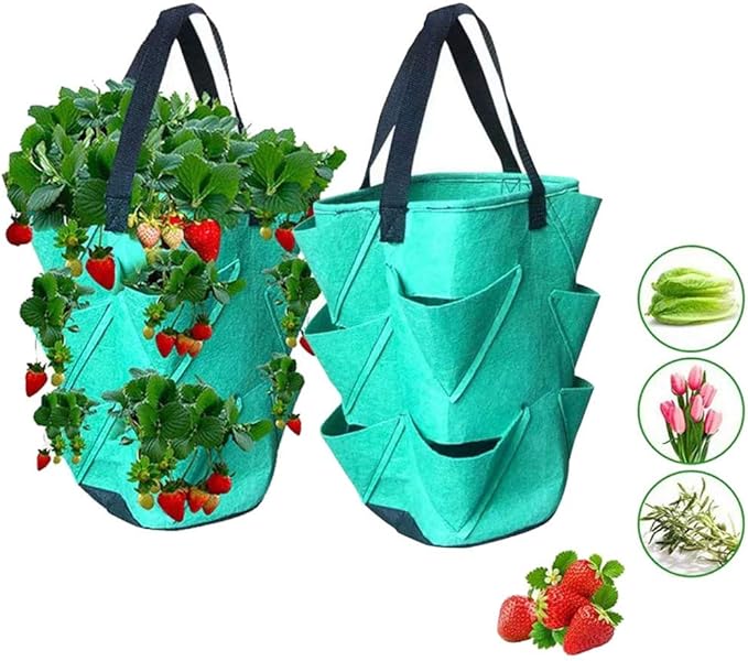 Macetas De Fresas No Tejidas con 10 Agujeros con Mango, para El Cultivo