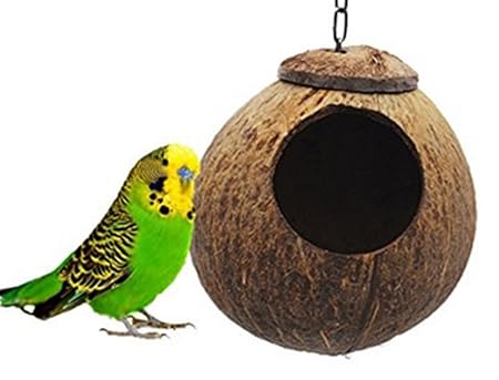 Spaufu Nid Doiseau Suspendu En Coque De Noix De Coco Naturel Dormir Pour Perroquet Ara Petits Oiseaux Décoration De Maison Jardin