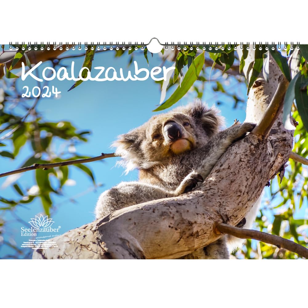 Koalazauber DIN A3 Calendar for 2024 Koala Bears, Koala Seelenzauber