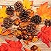 Whaline Thanksgiving Artificial Harvest Pumpkins, Maple Leaves, Gourd, Pine Cones and Acorns Set for Autumn, Fall and Halloween Home Table Decoration, 31 Pieces