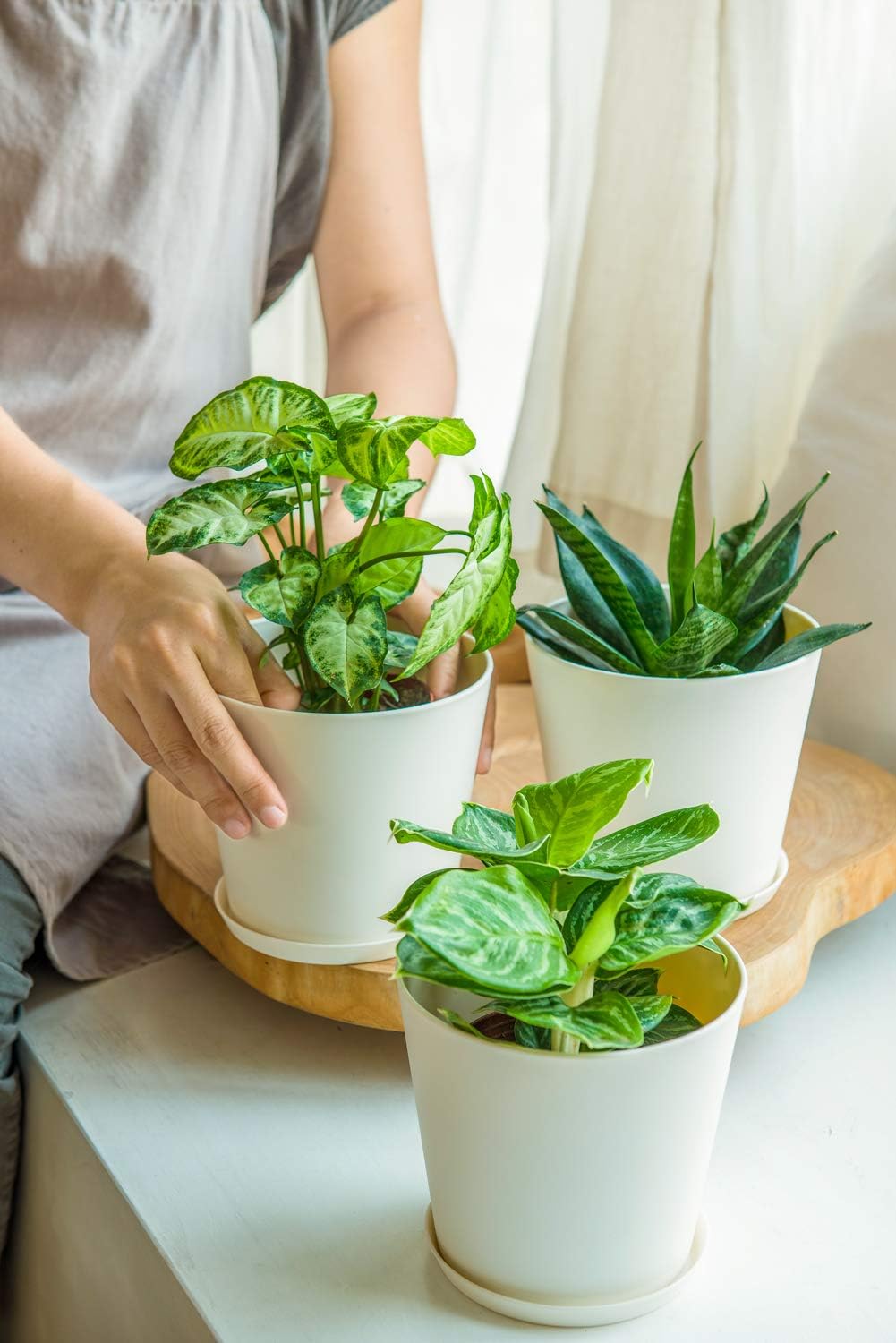 Mkono 6.5" Plastic Planters with Trays, Indoor Set of 5 Flower Plant Pots Modern Decorative Gardening Pot with Drainage Hole for All House Plants, Herbs, Foliage Plant, and Seed Nursery, Cream White: Garden & Outdoor