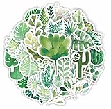 60 Packs Green Plant Stickers Water Bottles Laptop
