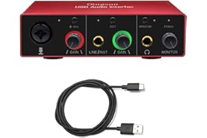 Dingsun Audio Interface XRL Audio Interface 48V Phantom Power Support Instrument Electric guitar Electronic organ or Bass Smartphone Tablet Computer and Other Equipment Recording