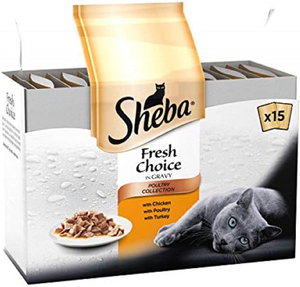 sheba cat food amazon