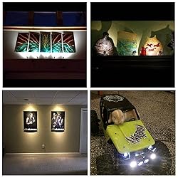Xking 12V 1W LED Spotlight/Cabinet Light/Display