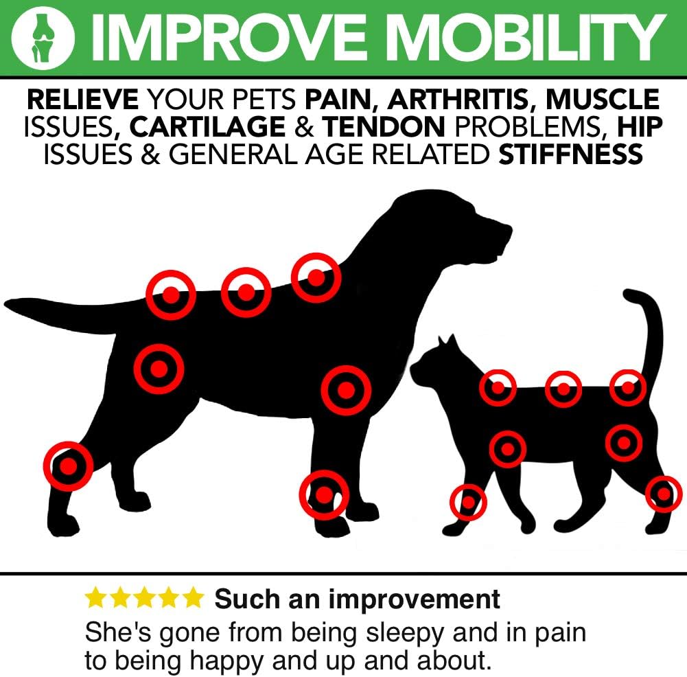 The Healthy Dog Co, Joint Supplements for Dogs Drip on Food, Cat and Dog Supplements for Joints - Image 4
