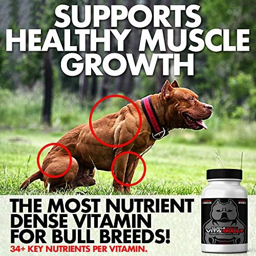 best vitamins for pitbulls