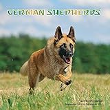 German Shepherd Calendar - 2017 Wall Calendars - Calendar 2016 - Dog Breed Calendars - Monthly Wall by 