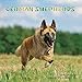 German Shepherd Calendar - 2017 Wall Calendars - Calendar 2016 - Dog Breed Calendars - Monthly Wall by 