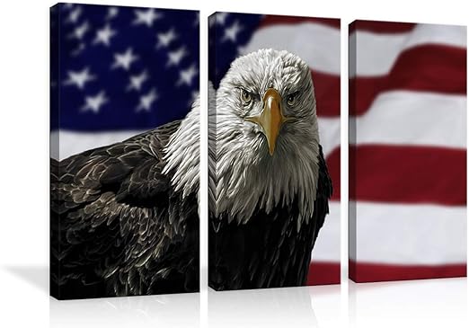 Amazon Com Amemny Vintage American Flag Bald Eagle Wall Art Patriotic Concep Pictures Home Decor Painting On Canvas Poster Print 3 Panels Modern Artwork For Living Room Bedroom Office Decor Framed Ready To