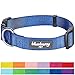 Blueberry Pet Essentials Medium Dog Collar in Royal Blue | Adjustable & Eco-Friendly Durable Nylon Strap | Classic Collar for Medium Dogs, Boy & Girl Pets