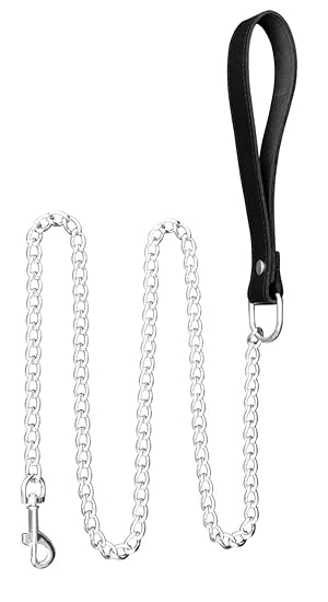 Bondage SM Leine 1 Meter Edelstahl BDSM Kettenleine Führungsleine 100cm für das Fetisch Erotik Leder Halsband Leine Führungsl