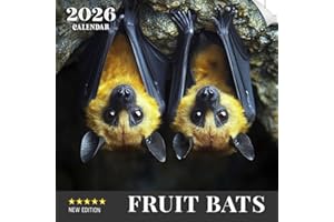 Fruit Bats Calendar 2026: A year of fascinating flying mammals