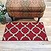 Indoor Doormat Rubber Backed, 18 X 30 inch, Trellis Carmine Red, Non Slip, Kitchen Rugs and Mats