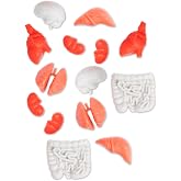 Accoutrements Itty Bitty Body Parts 14 Piece Set - Miniature Parts for Tiny Displays - Random Soft Vinyl Lungs Brain Heart Kidneys Liver