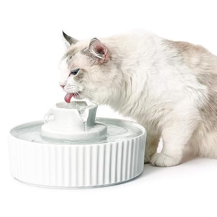 recirculating water fountain for cats