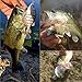 BASSDASH SwimPanfish Multi Jointed Panfish Bluegill Swimbaits Hard Topwater Bass Lures Fishing Lure Crank Saltwater 3.5in/0.85oz