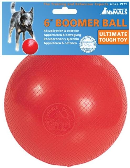 Other Boomer Ball Virtually Indestructible Ball Dog Toy (8 Inch) (May Vary)