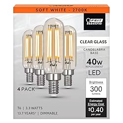 Feit Electric 40-Watt Equivalent T6 Dimmable