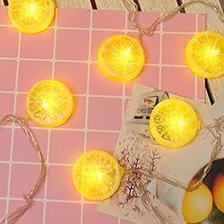 Fruit String Lights Battery Powered Indoor Outdoor