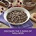 Wellness Complete Health Natural Dry Cat Food, Kitten Health Recipe, 5.9-Pound Bag
