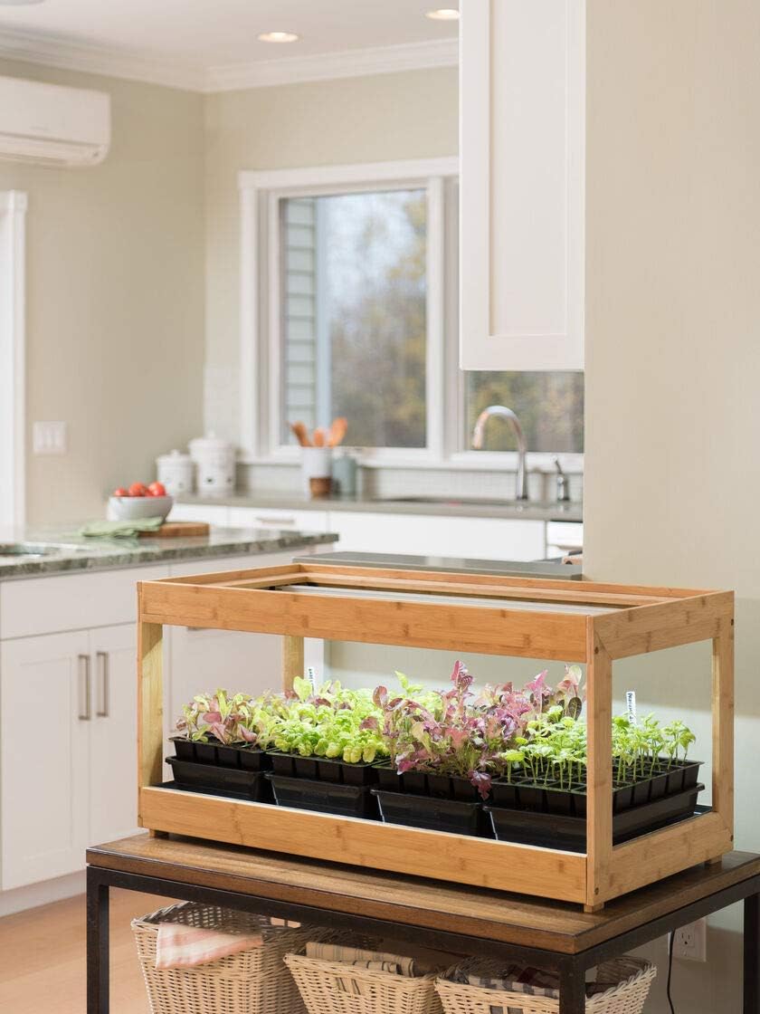 Kitchen Grow Lights Fescar Innovations2019 Org