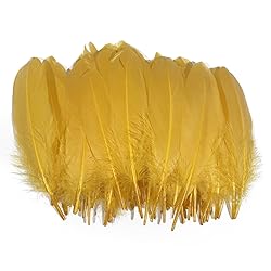 Lampu Natural Goose Feathers 15-20cm/6-8 inches