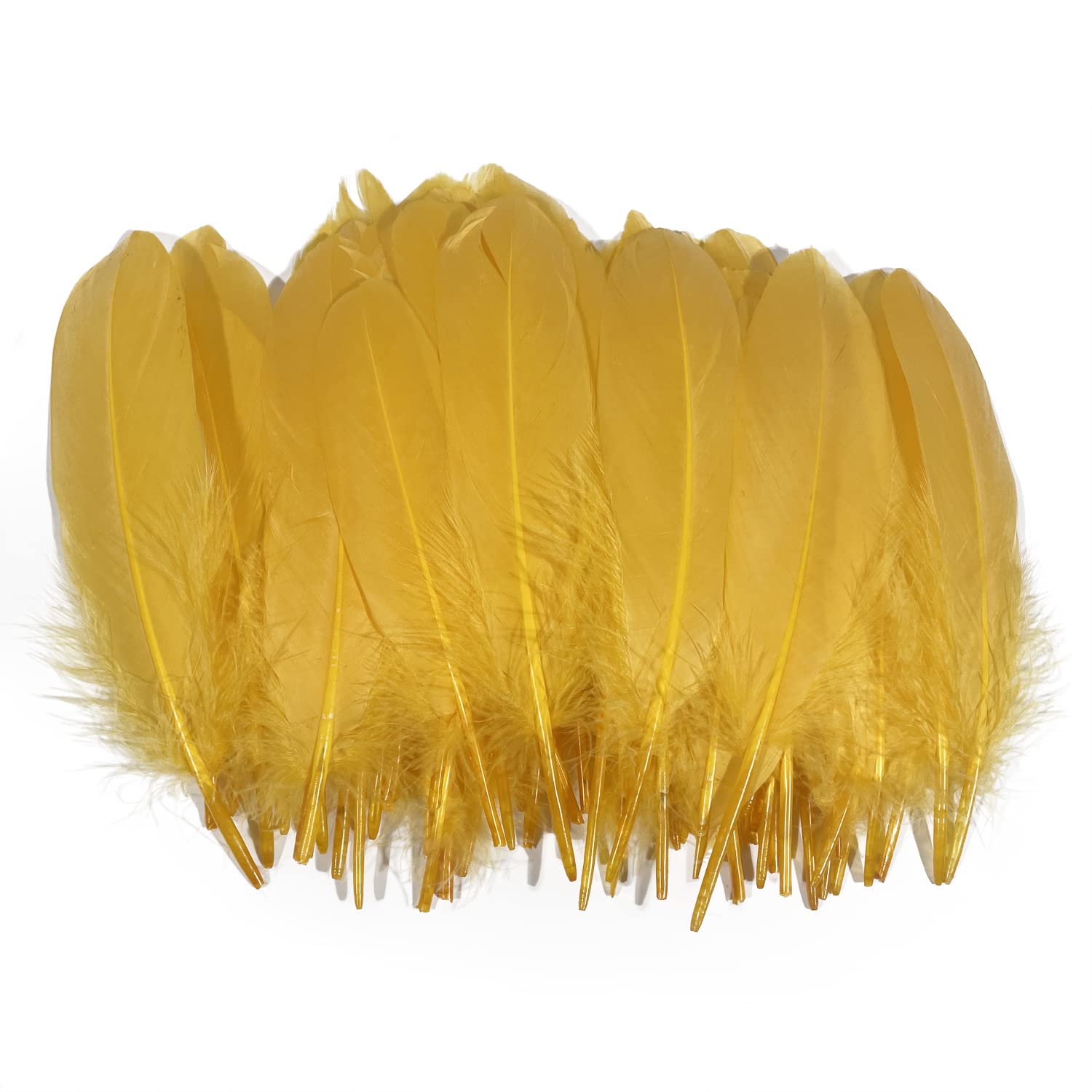 Lampu Natural Goose Feathers 15-20cm/6-8 inches