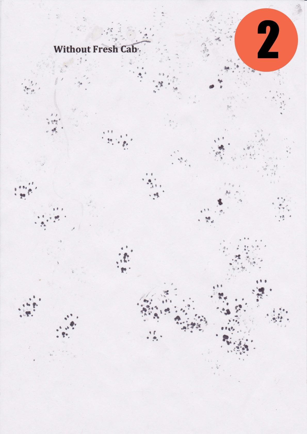 Does NOT repel mice. Here's photographic proof