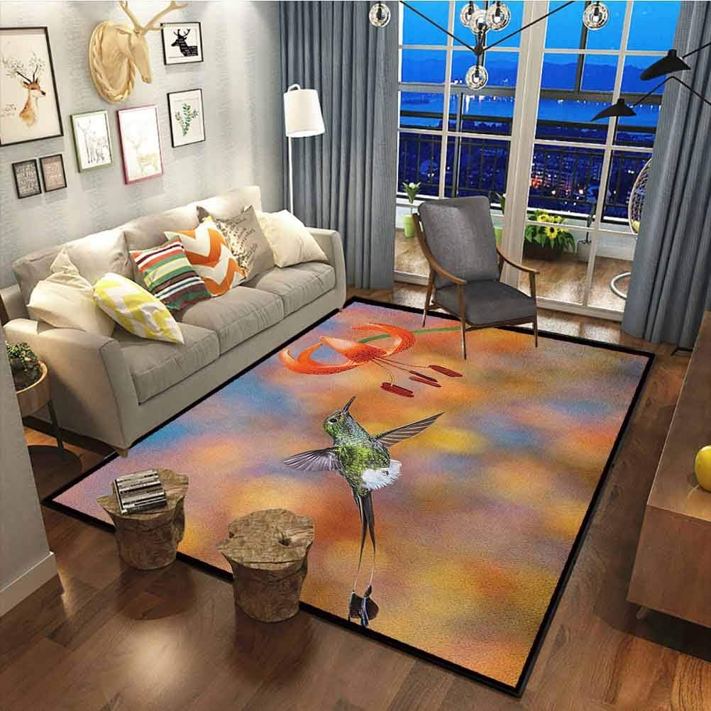 Hummingbird Modern Abstract Area Rug Princess Room Decor Rug The Booted Racket Tail Feeding Nectar from Tiger Lily Blur Background Photo Orange Green19 x 33 Inch
