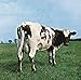 Atom Heart Mother