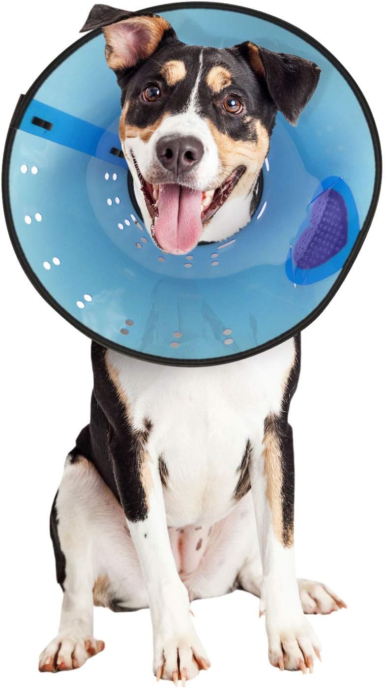 calm paws caring collar medium