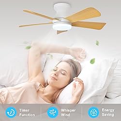 Depuley Modern Ceiling Fan with Light: 35-Inch